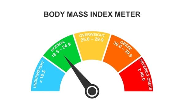 BMI Scale